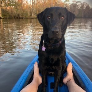 Meet your Posher, Ashley